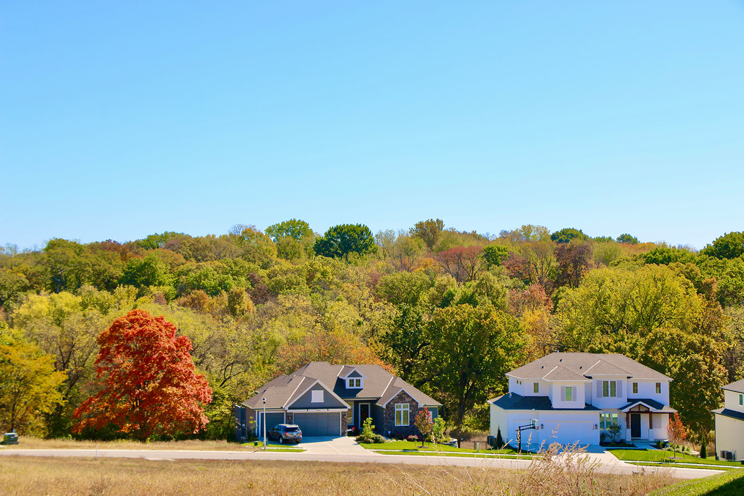 Kenneth Estates neighborhood with fall foliage